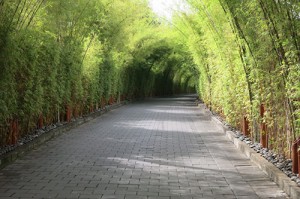 W Retreat pathway
